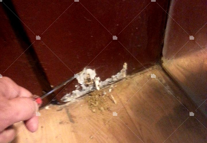  一旦發現取食蟻道最好在15天之內處理白蟻問題，由藝太消毒提供圖片。